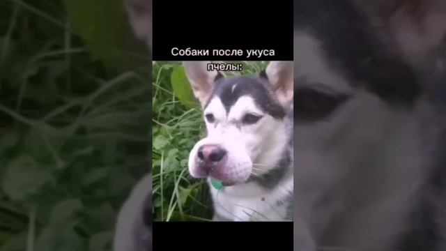 Кто у тебя дома?ИнТеРеСнО понимаешь?! смотреть онлайн