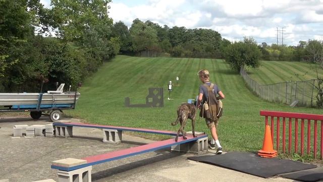 Teaching My Son To Train Protection Dogs Episode 2 | Malinois & Dutch Shepherd смотреть онлайн