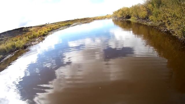 Пожалуй, лучшая рыбалка на кастинговую сеть сезон 2021! смотреть онлайн