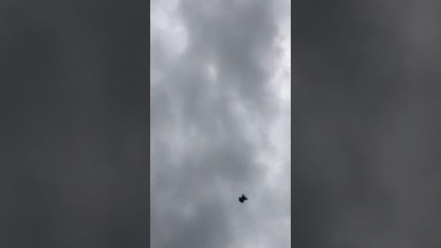 Турецкая Такла в Пятигорске. Видео для понимания какой частью крыла создаётся характерный стук. смотреть онлайн