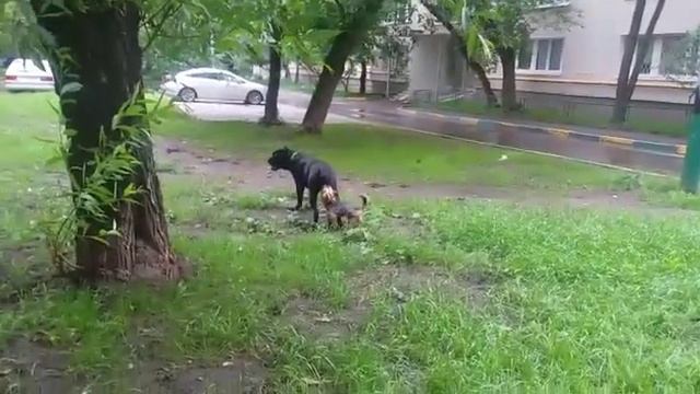 Любовь КЕКСА. смотреть онлайн