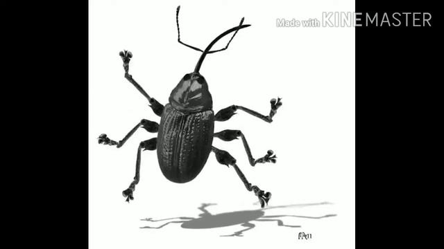 Я ВЕСЁЛЫЙ ТАРАКАН Я БЕГУ БЕГУ БЕГУ смотреть онлайн