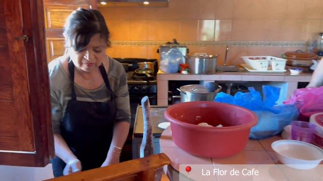 My solo trip to Mexico | Part 2 | Tacos, San Sebastian, Yelapa смотреть онлайн