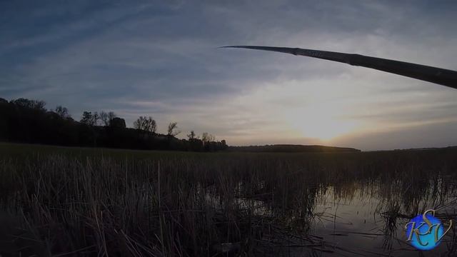 ЛОВЛЯ КАРАСЯ НА ПОПЛАВОЧНУЮ УДОЧКУ. ЭТИ МОНСТРЫ РАЗГИБАЮТ КРЮЧКИ!!! Рыбалка в камышах смотреть онлайн