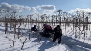 Снегоход LYNX YETI 600 ase wt с санями