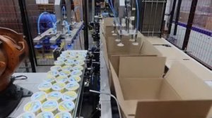 Линия упаковки банок  в гофрокороба Роботом Кука