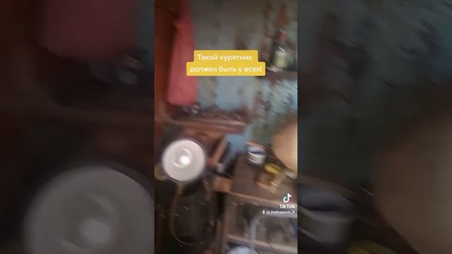Супер курятник! смотреть онлайн