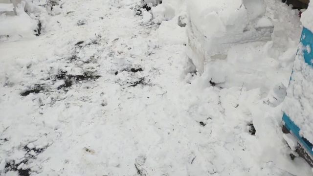 Замело как никогда. 28.01.2021 смотреть онлайн