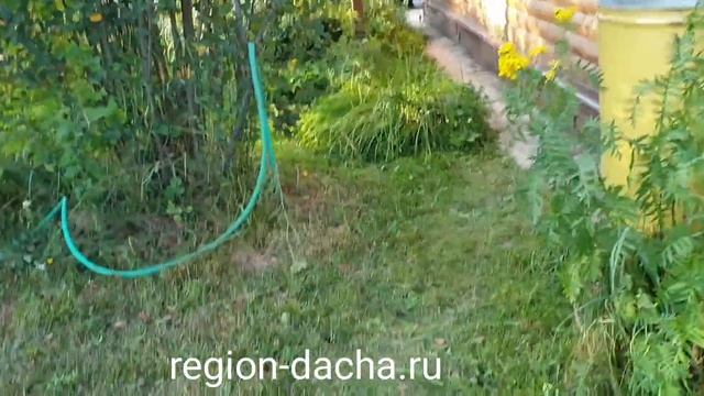 26 июля 2021 г. смотреть онлайн