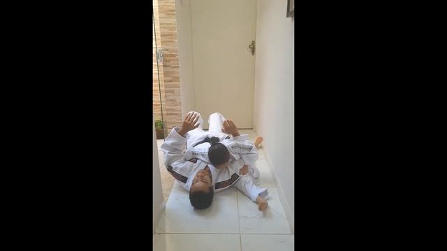 Vídeo 14 - Kuzure Kesa Gatame смотреть онлайн