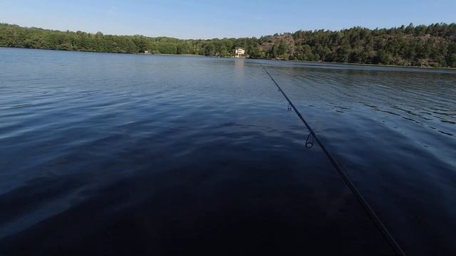 ЩУКА С БЕРЕГА. Спиннинг с берега. Ловля хищника. Ловля щуки. Ловля щуки с берега. Приманки на щуку. смотреть онлайн