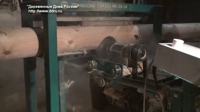 сибирская лиственница смотреть онлайн