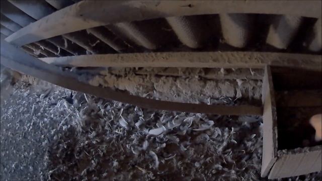 Открыл ГОЛУБЯТНЮ первый раз за 2 года. Вылетят или Нет? У голубок появился паренёк. Добавил кормушк смотреть онлайн