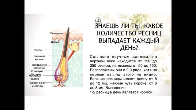 Тренды в Макияже и новинки осени смотреть онлайн