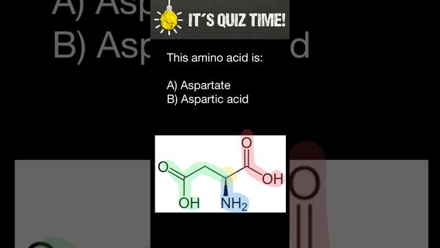 Aspartate vs Aspartic Acid смотреть онлайн