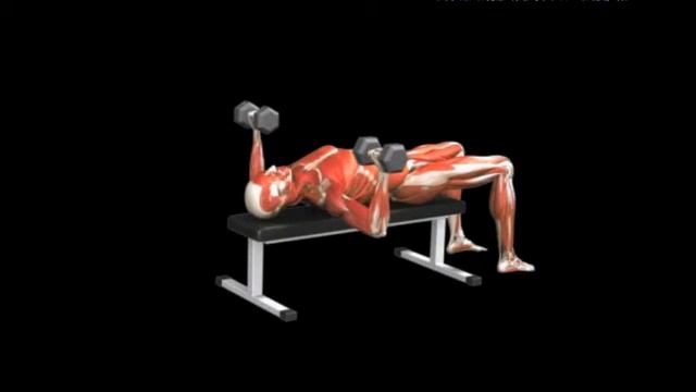 Жим гантелей лежа Bench press dumbbell смотреть онлайн