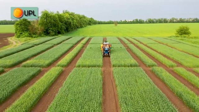 Эффективность однократной обработки посевов пшеницы фунгицидом Тебаз Про смотреть онлайн