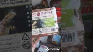 Грунт для Ароидных.Готовлю субстрат для Аглаонем,Алоказий,Сингониума,Каладиума,Марантовых.