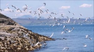 Большой Арктический