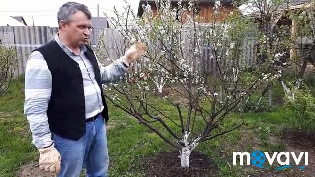Кролики-это не только мех и мясо,но и удобрение. смотреть онлайн