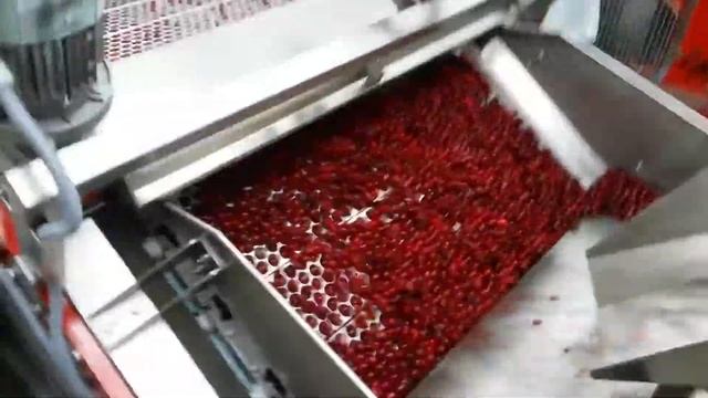 Вишня - подготовка к заморозке. Промышленная косточковыбивная машина для удаления косточек из вишни смотреть онлайн