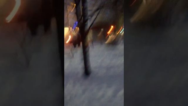 Сокол Вологодская обл.3 января 2019 г. смотреть онлайн