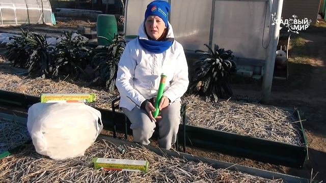 Мыши под мульчей. Что делать, если на грядках завелись полевые мыши или кроты. смотреть онлайн