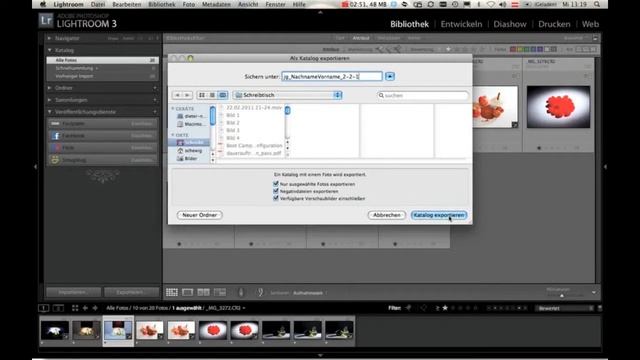 Katalogexport mit Adobe Lightroom 3 смотреть онлайн