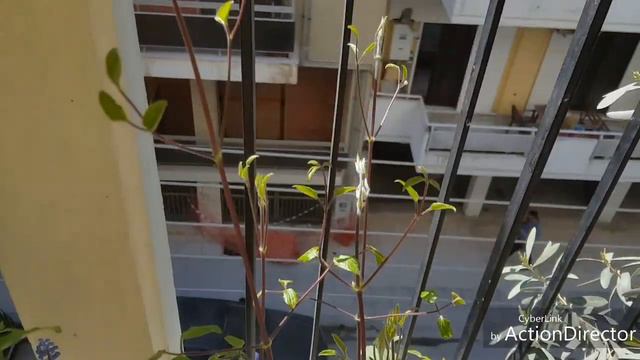 Мартовский обзор-хвастаться нечем 😊Всем хорошего настроения! смотреть онлайн