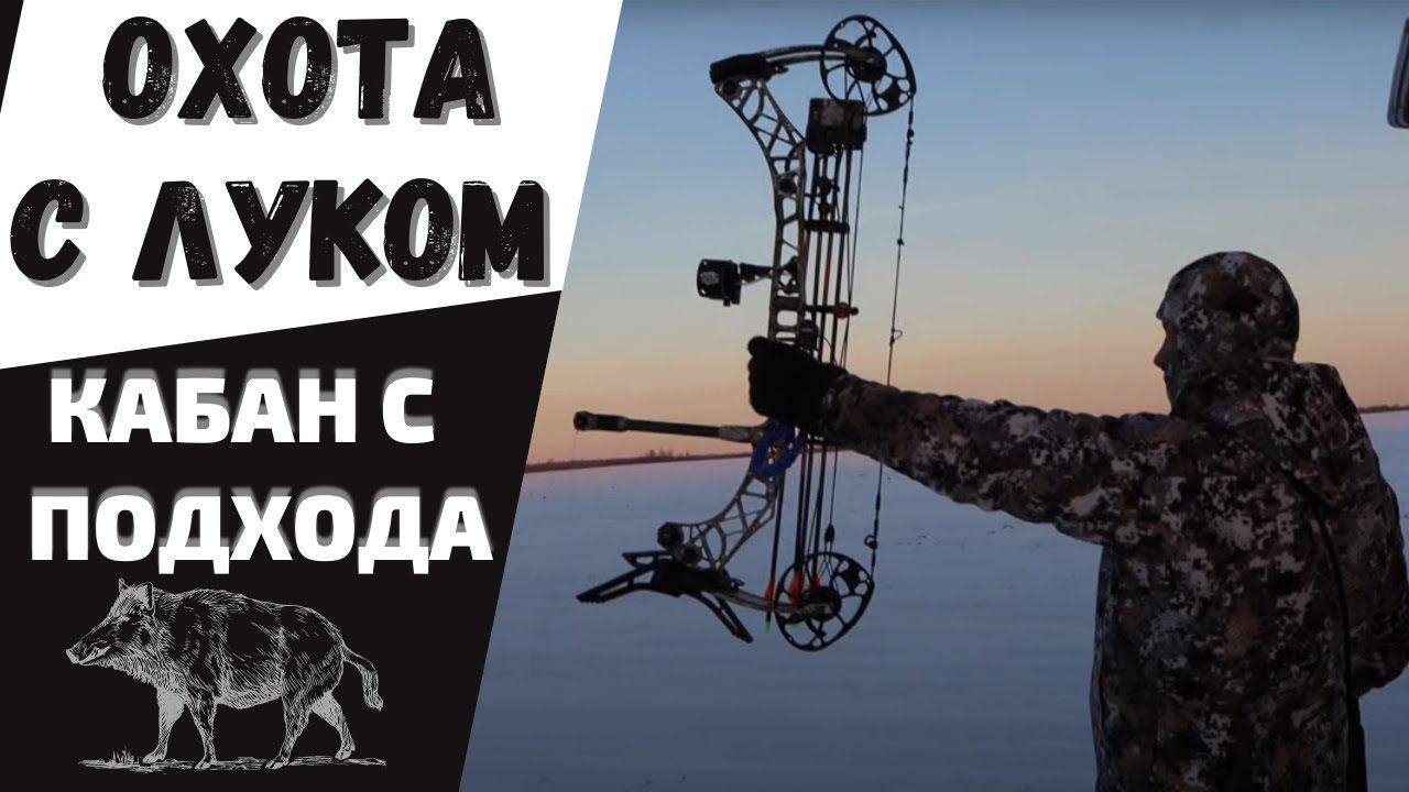 ОХОТА с ЛУКОМ на кабана с подхода смотреть онлайн