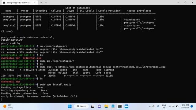 6. Postgres Administration - Restore database - dvdrental смотреть онлайн