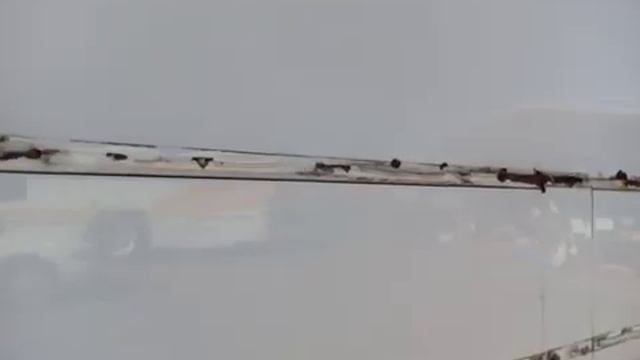 Mercedes 0303 Walk Around