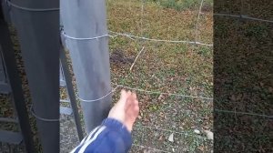 монтаж казачки(шарнирной сетки) без лебедки и машин, своими руками