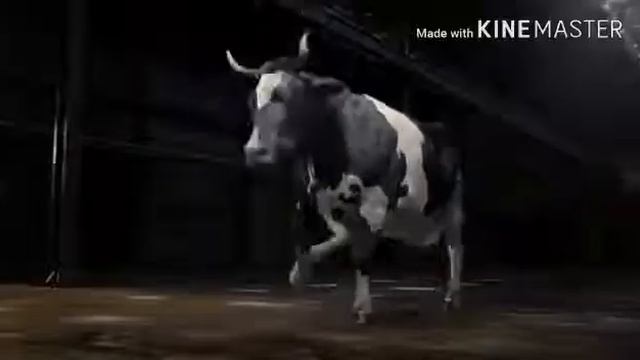 год коровы смотреть онлайн