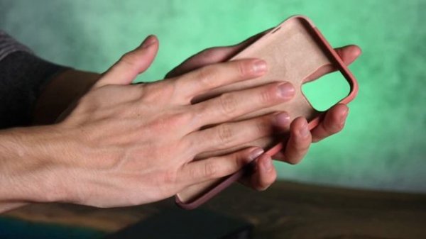 Чехлы Native Union Click Marquetri для iPhone 11 Pro