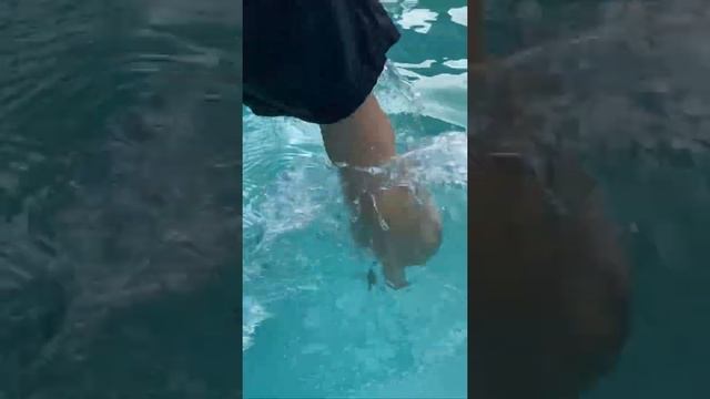 Как проверить температуру воды, смотреть онлайн