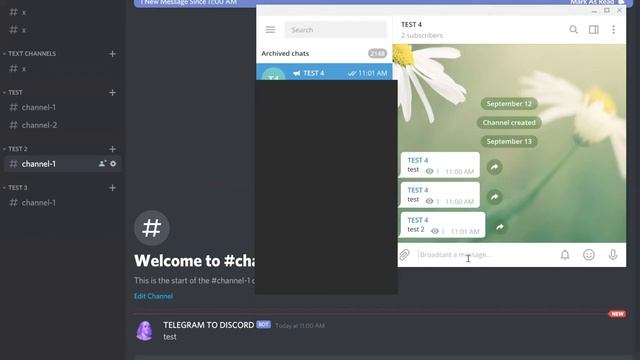 Auto Forward Telegram Channel Messages to Discord Channel смотреть онлайн