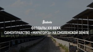 Почему и за что Readovka схлестнулась с «Мираторгом»