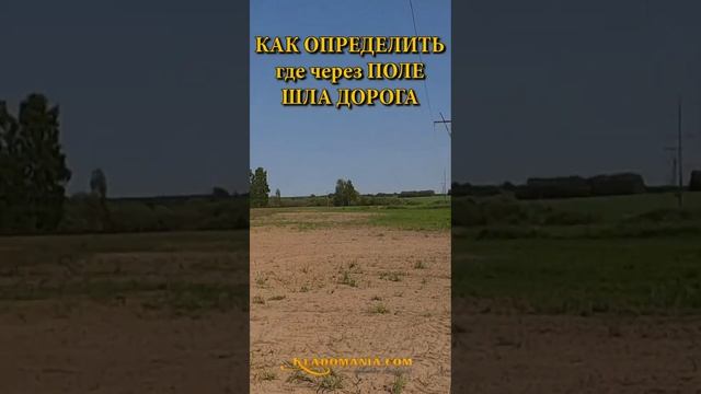 СОВЕТЫ КЛАДОИСКАТЕЛЯМ. Где через поле шла дорога. КЛАДОМАНИЯ #shorts смотреть онлайн