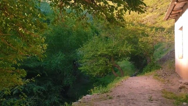 ДОЛЛАР ПОРТЛАДИ ХАЛҚ УЧУН РУБЛ ПАСТЛАДИ БАРЧА ОГОХ БЎЛСИН КЕЧ БУЛМАСДАН смотреть онлайн