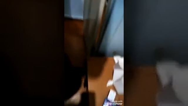 Прикол, неубиваемый таракан) смотреть онлайн