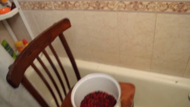 Как быстро очистить бруснику смотреть онлайн