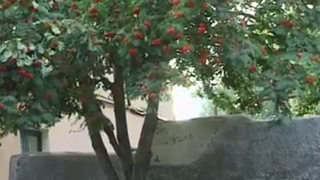 Смотрим ролик "Моя малая родина" смотреть онлайн
