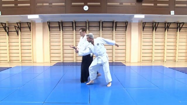 Кататэ дори учи кайтен нагэ. Айкидо. АйКиКай смотреть онлайн