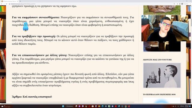 Γιατί νιαουρίζουν οι γάτες; смотреть онлайн