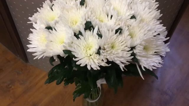 Букет из 25 хризантем (одноголовая) смотреть онлайн