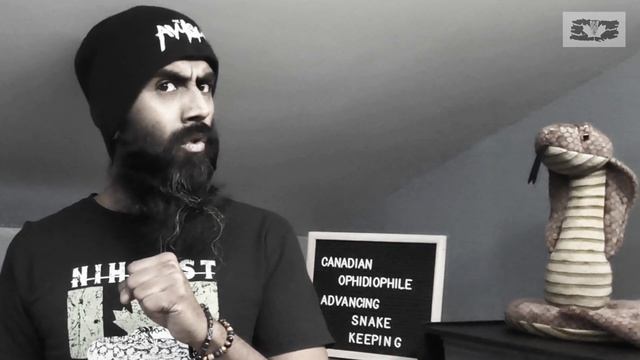 Advancing Snake Keeping - Fear Mechanics смотреть онлайн