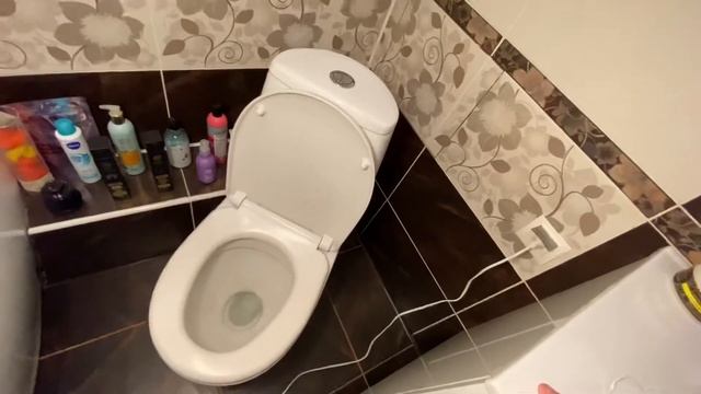 Рум тур в мой унитаз