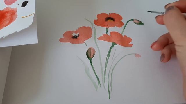 Акварель для начинающих. Как легко нарисовать маки