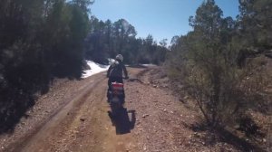 Michelin Anakee Adventure Tire Review | Best 80/20 ADV Tire?